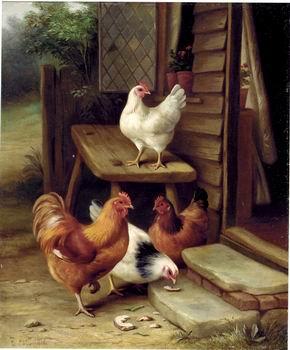 unknow artist Cocks 123 oil painting image